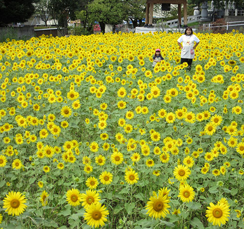 一日体験について